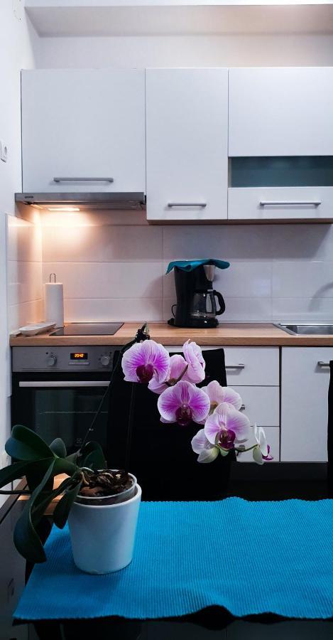 Radenka Zafron Apartment Водице Экстерьер фото